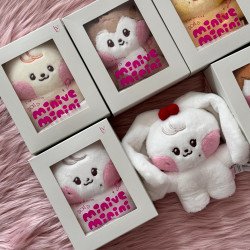 [現貨] IVE - minive-minini-costume-plush